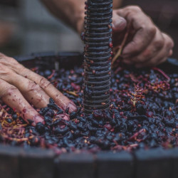 Porte-documents avec accessoires vegan hommes en cuir de raisin